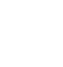 Internxt logo